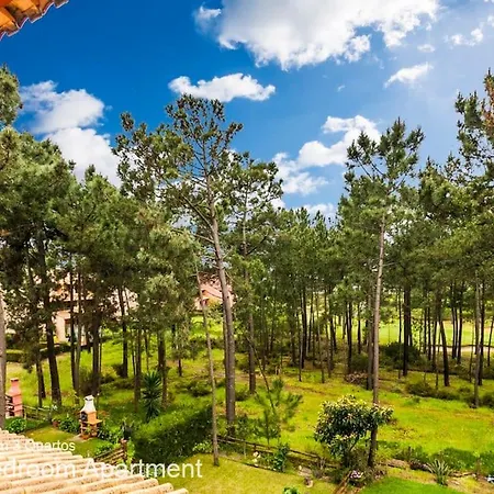 Lejlighed Akisol Aroeira Pine Carcereiro